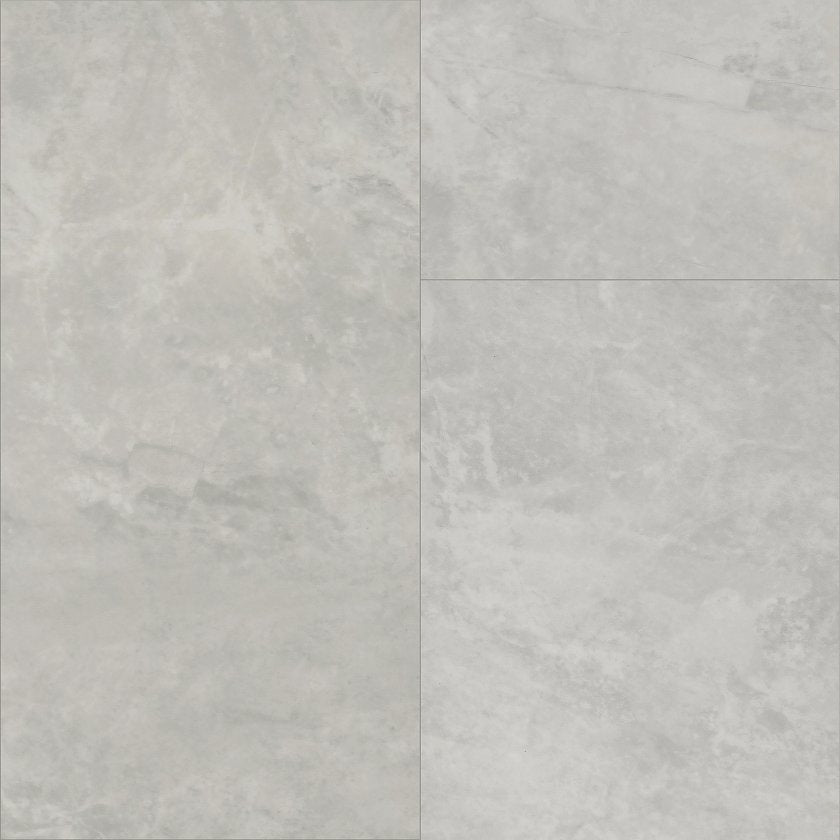 PARAGON TILE PLUS