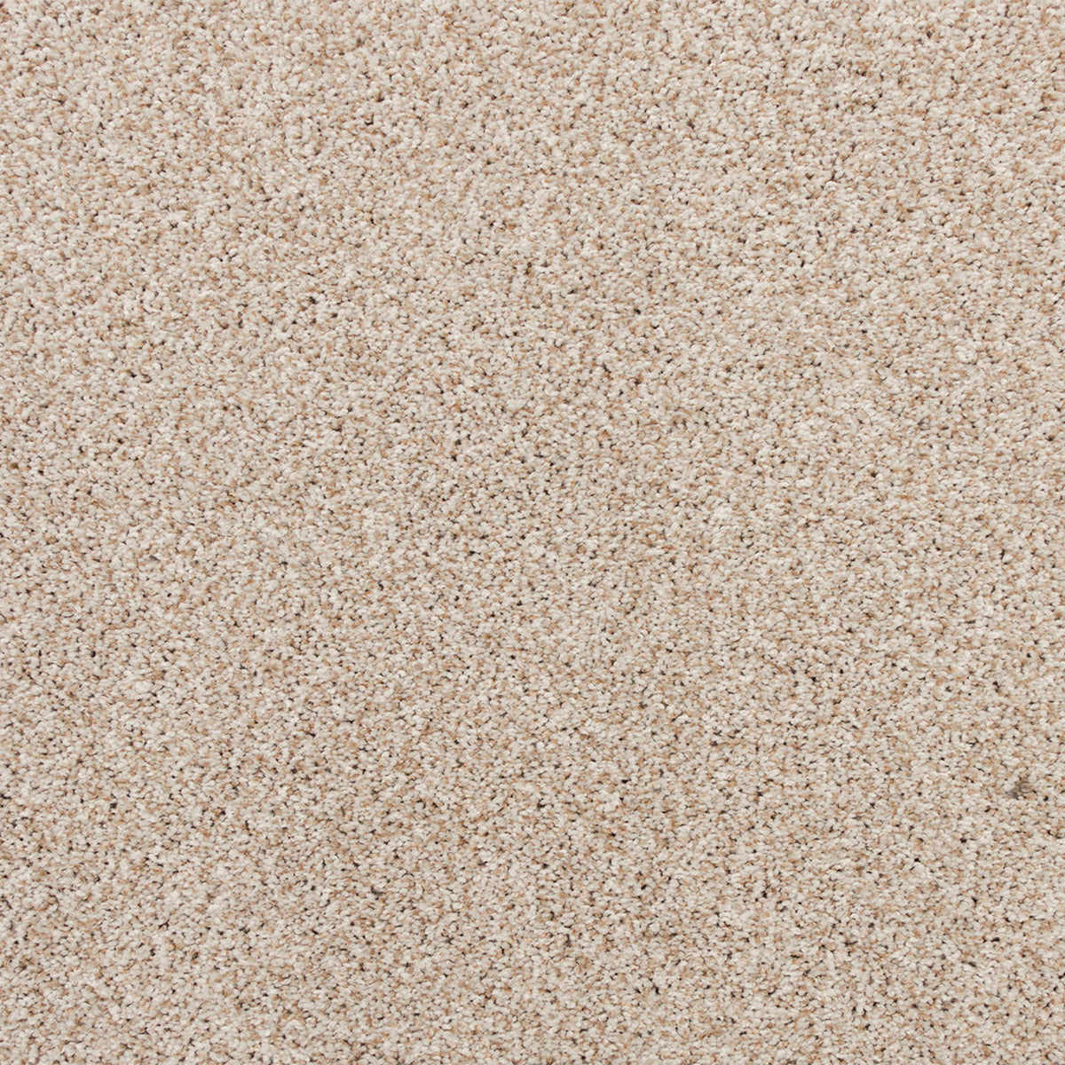 Apollo Bay SmartStrand Carpet - Compartment
