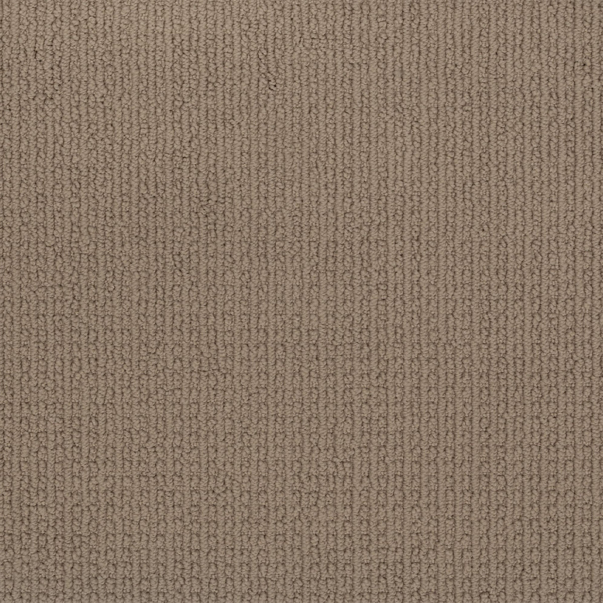 Enduring Statement SmartStrand Carpet - Cross Country