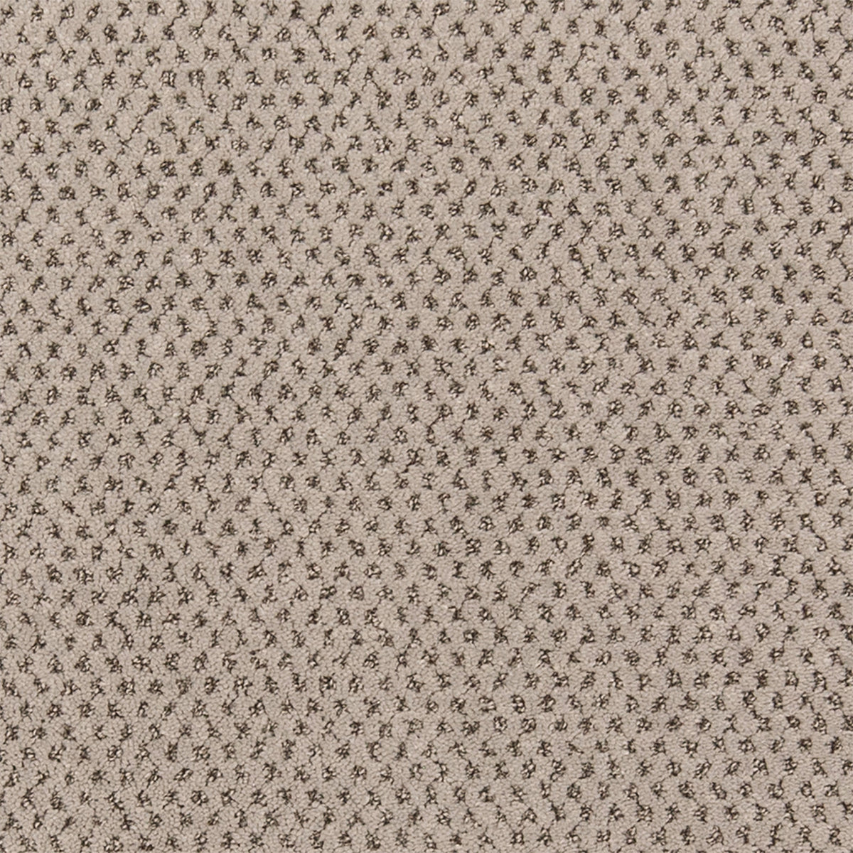 Timeless Effects SmartStrand Carpet - Zest