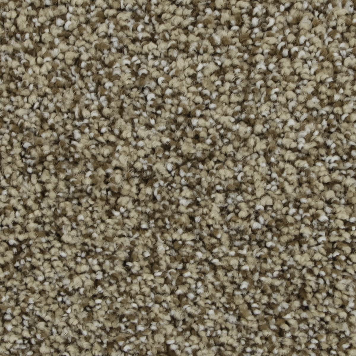 Celestia EverLux Nylon Carpet - Sundial