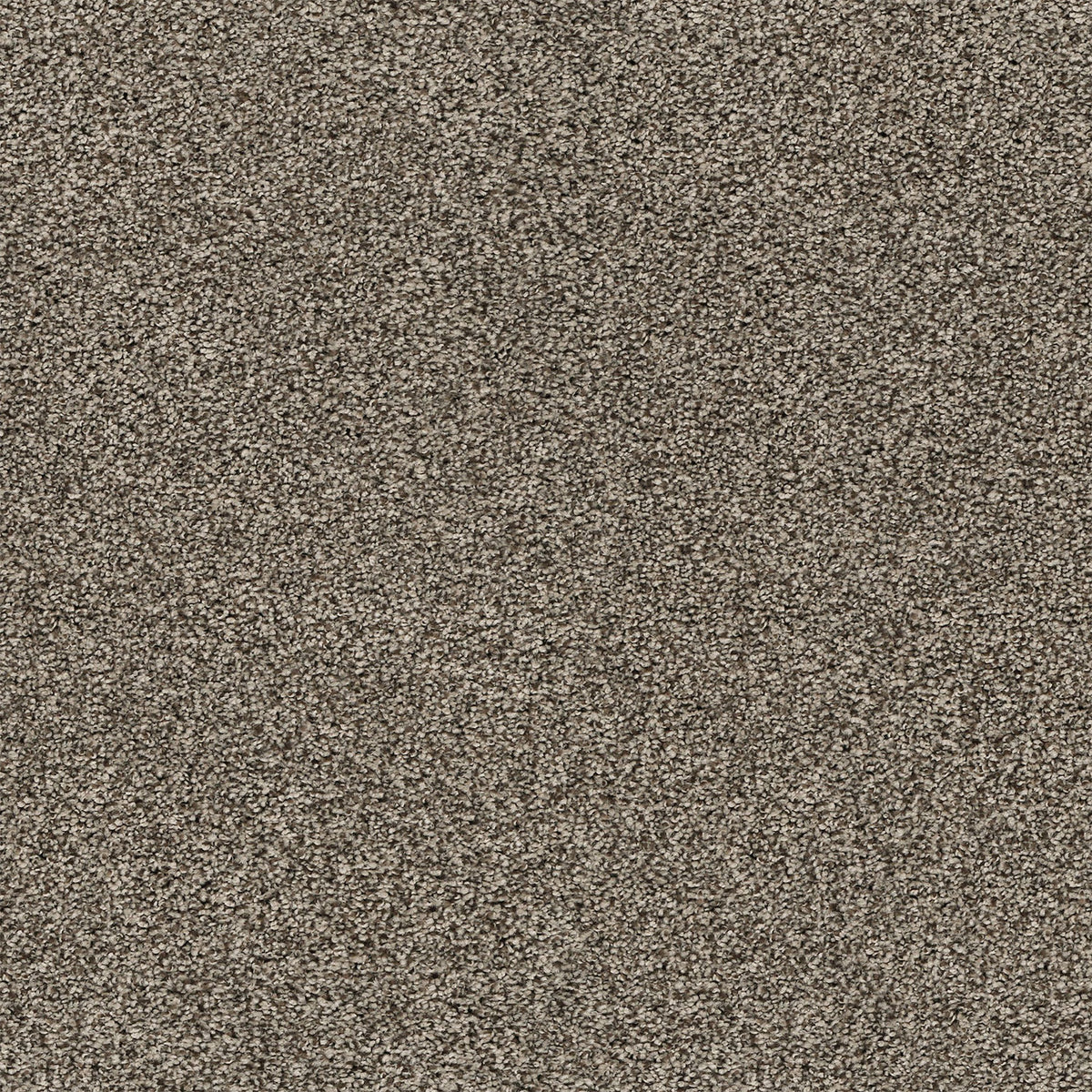 Upscale Elements EverLux Nylon Carpet - Shipwreck