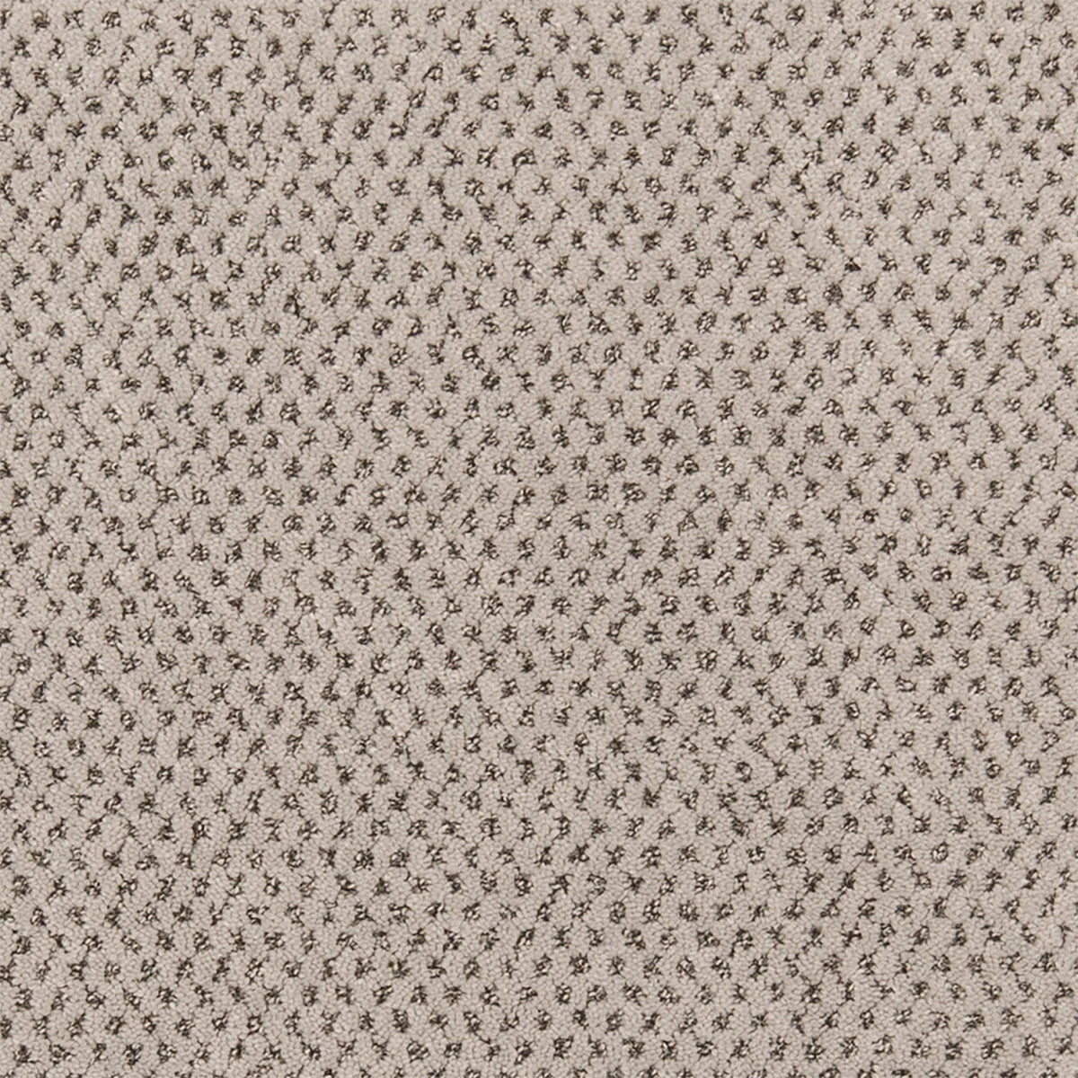 Timeless Effects SmartStrand Carpet - Flair