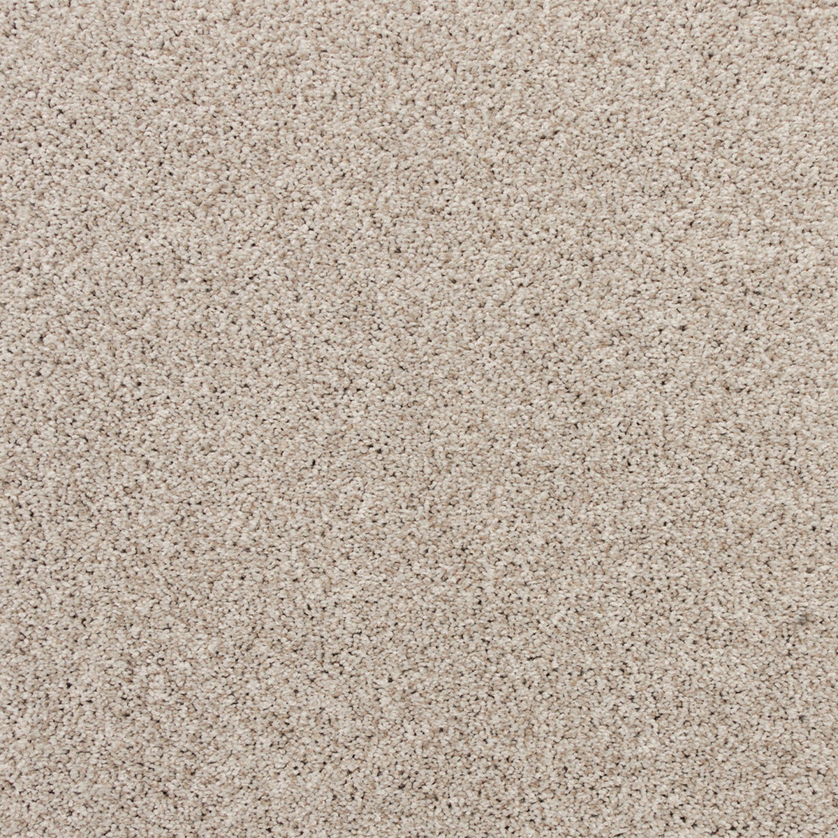 Apollo Bay SmartStrand Carpet - Diana