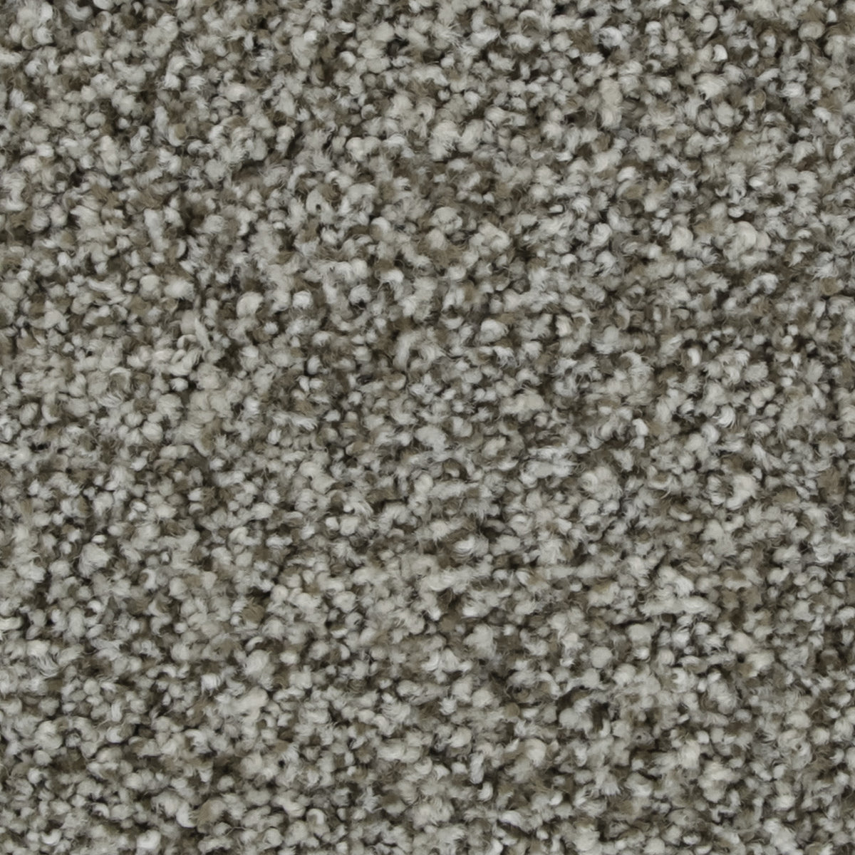 Celestia EverLux Nylon Carpet - Stone Passage
