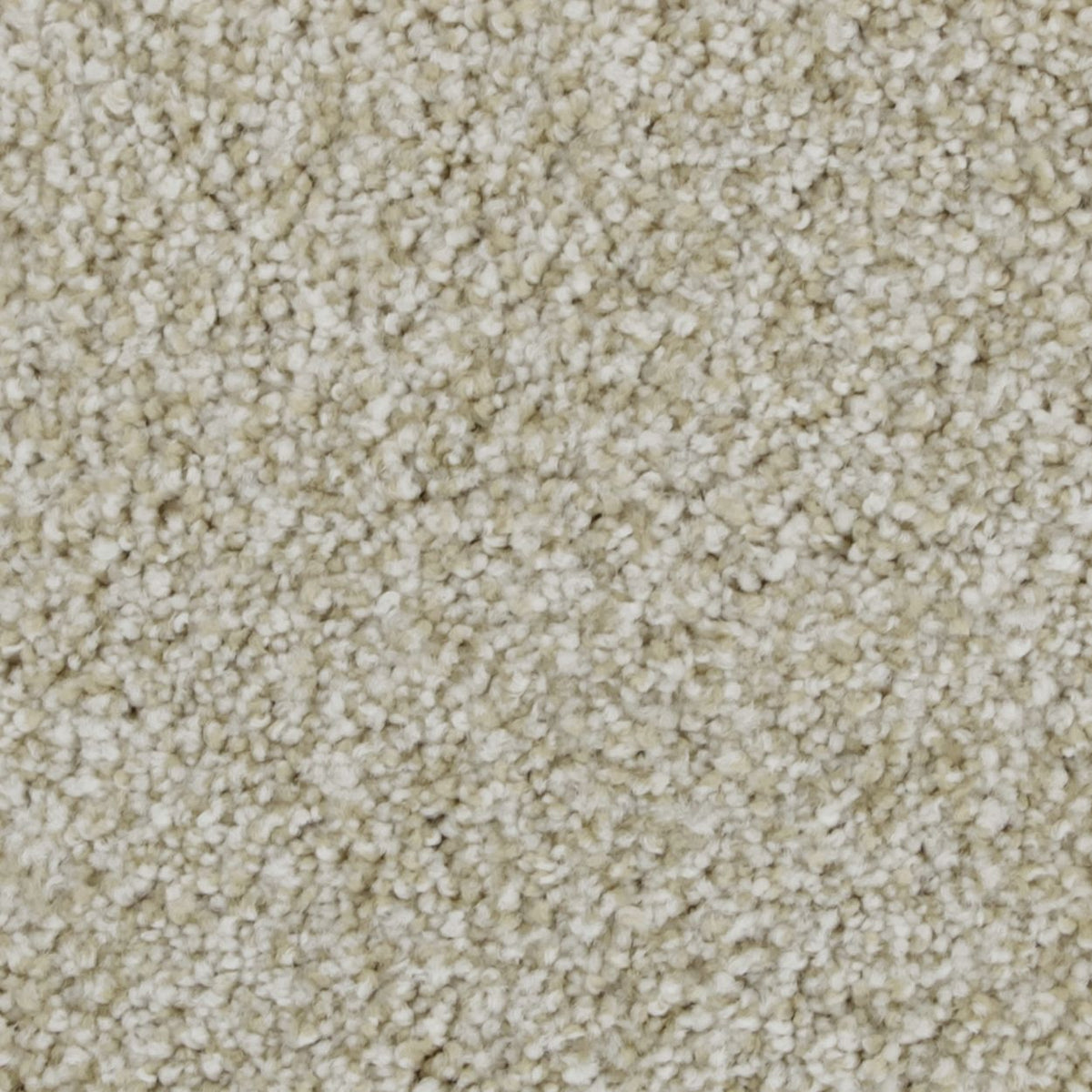 Celestia EverLux Nylon Carpet - Pristine