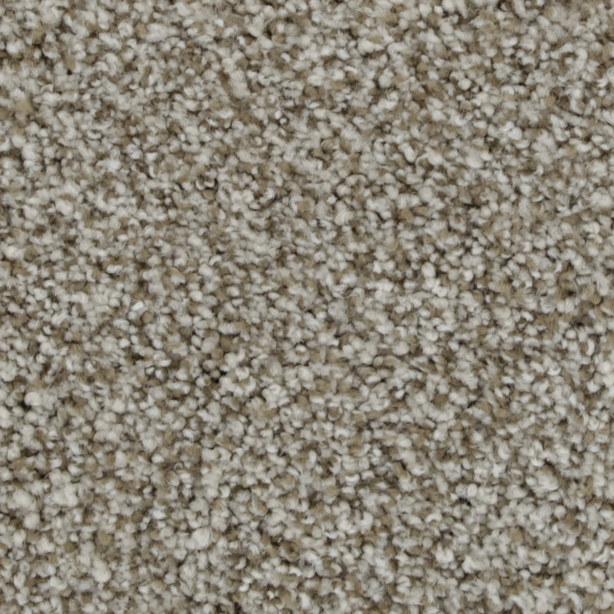 Celestia EverLux Nylon Carpet - Castle