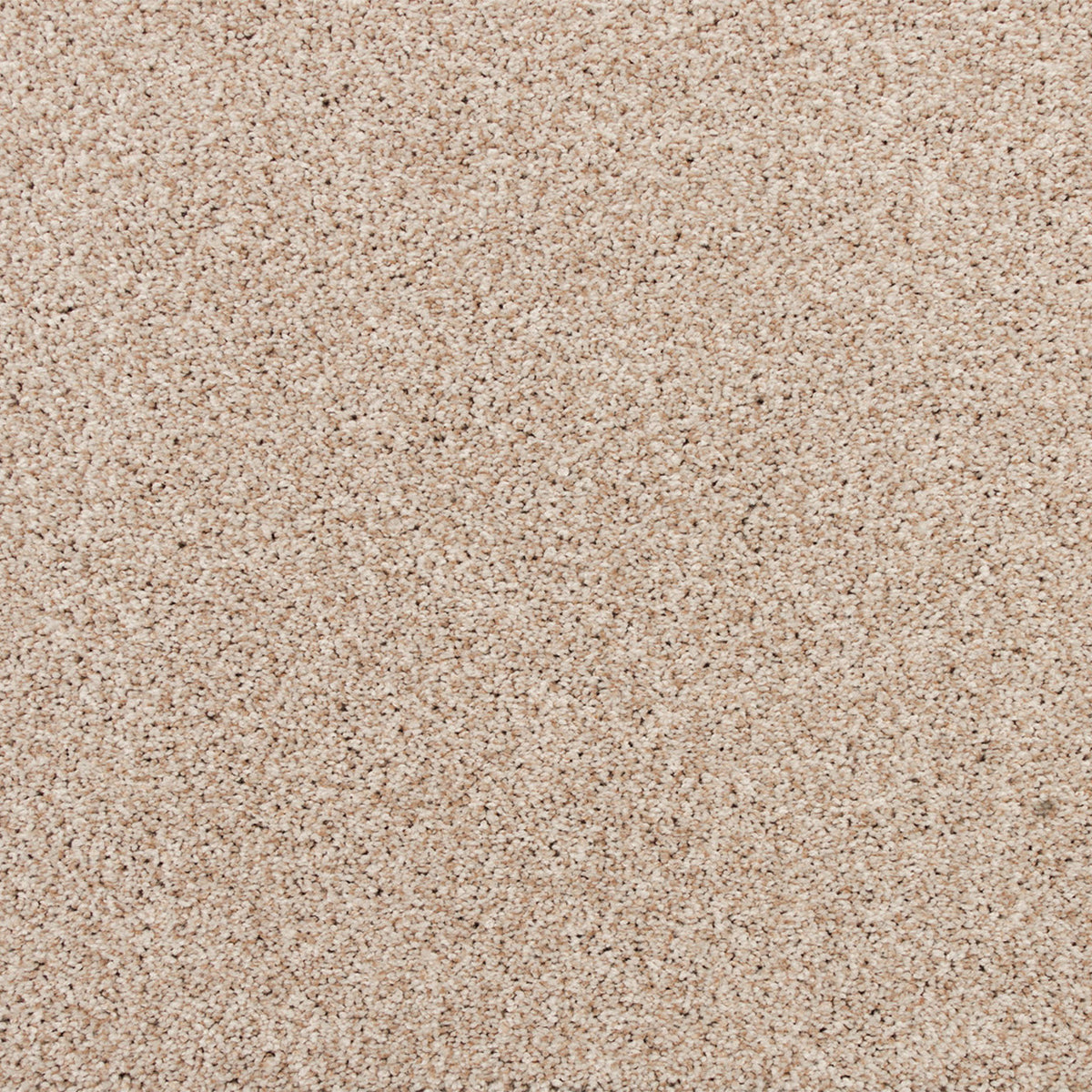 Apollo Bay SmartStrand Carpet - Costin