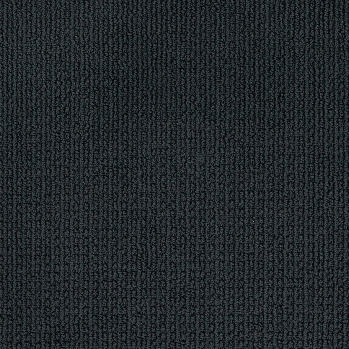 Enduring Statement SmartStrand Carpet - Dynasty