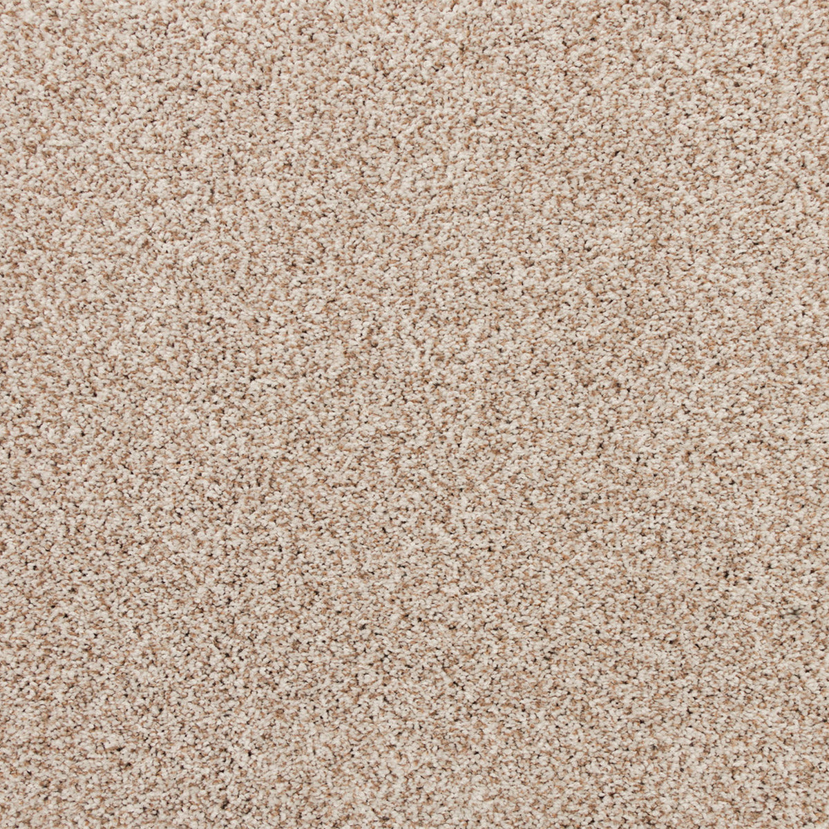 Apollo Bay SmartStrand Carpet - Foran
