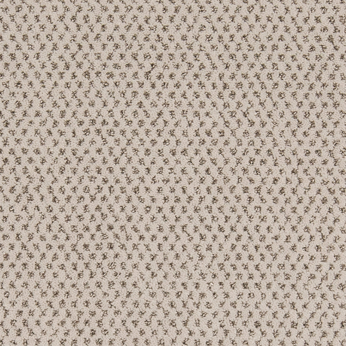 Timeless Effects SmartStrand Carpet - Authentic