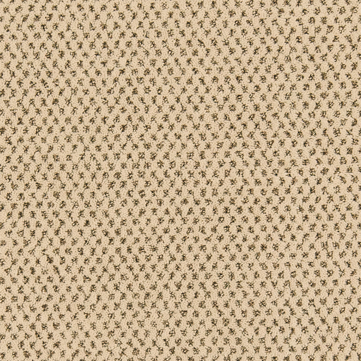 Timeless Effects SmartStrand Carpet - Vista