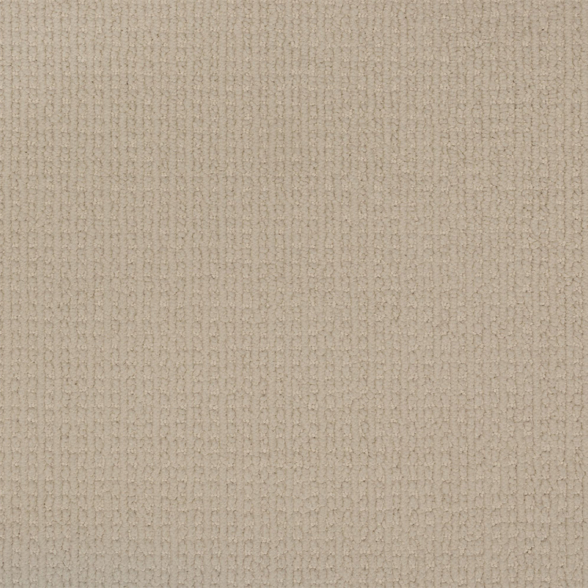Enduring Statement SmartStrand Carpet - Radiance