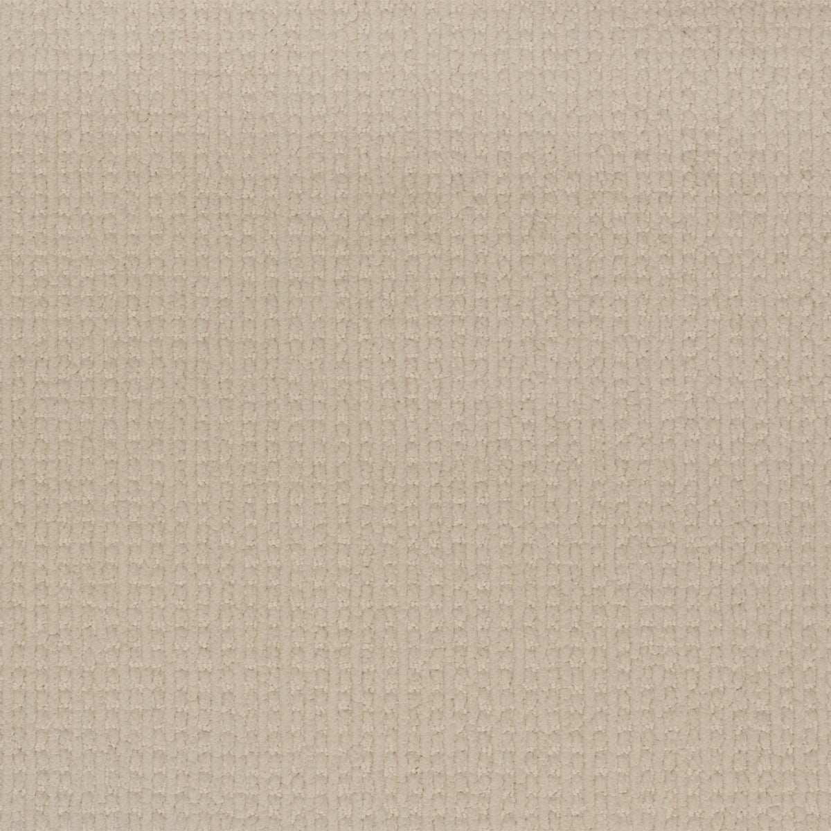 Enduring Statement SmartStrand Carpet - Soap Bubble