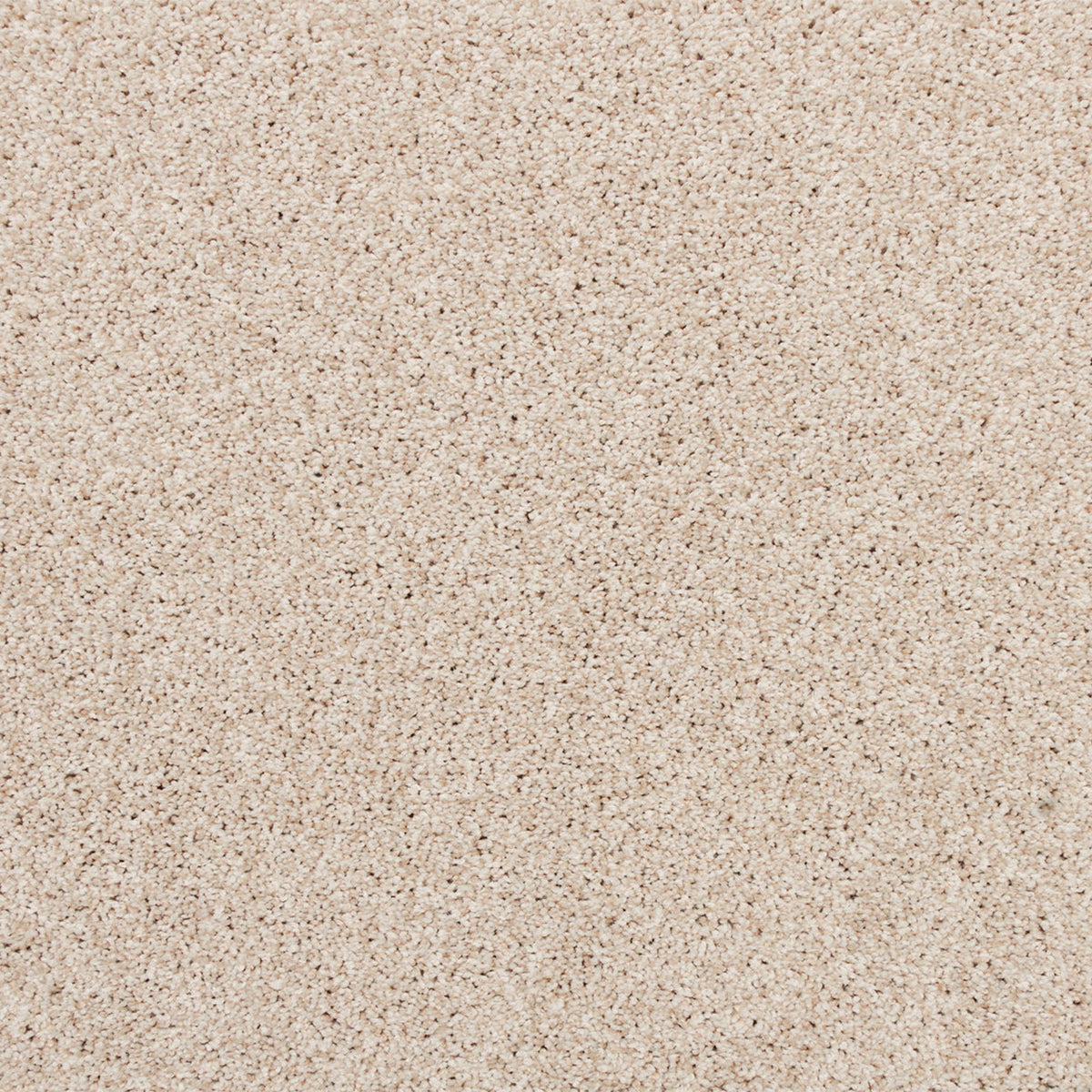 Apollo Bay SmartStrand Carpet - Bustle