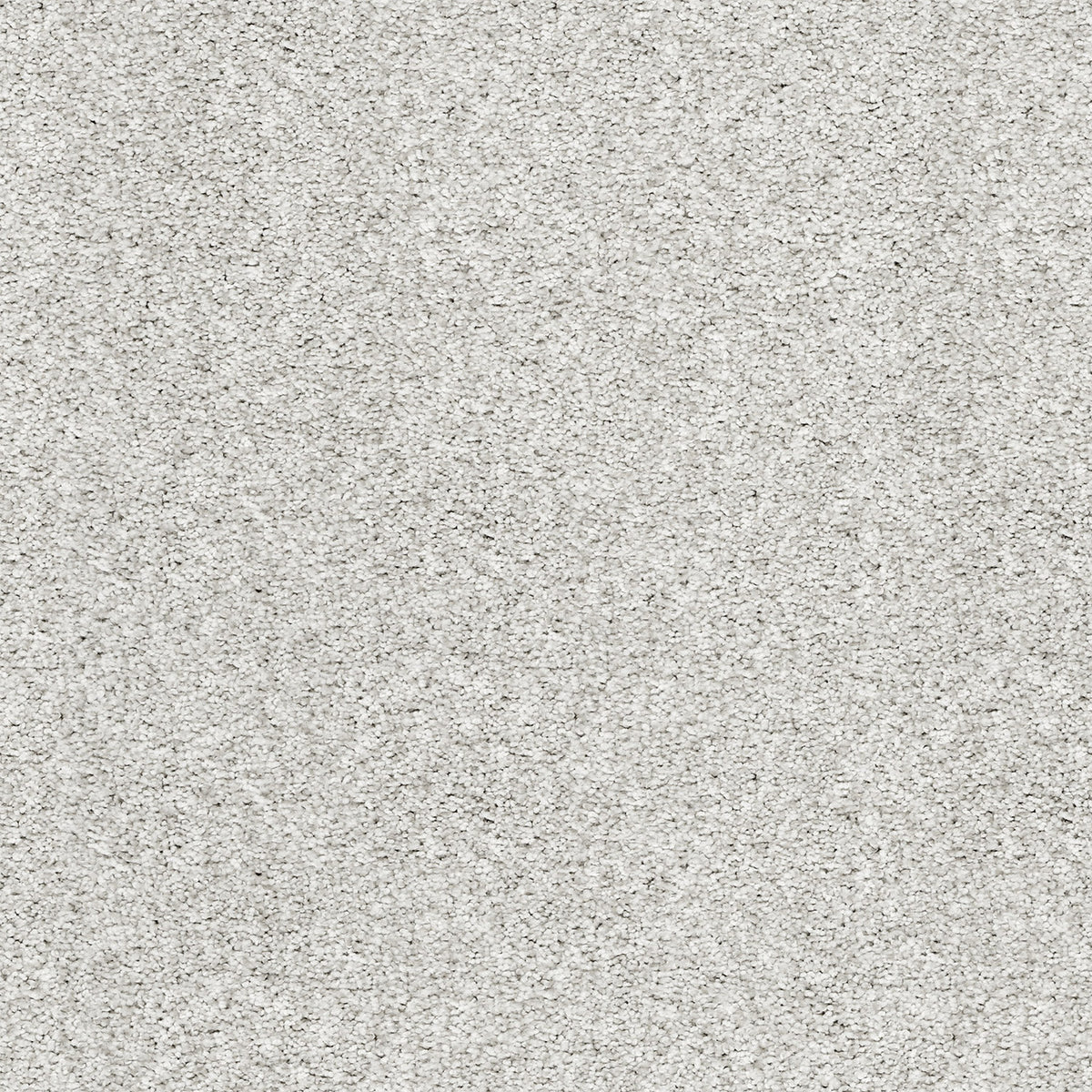 Upscale Elements EverLux Nylon Carpet - Starlet