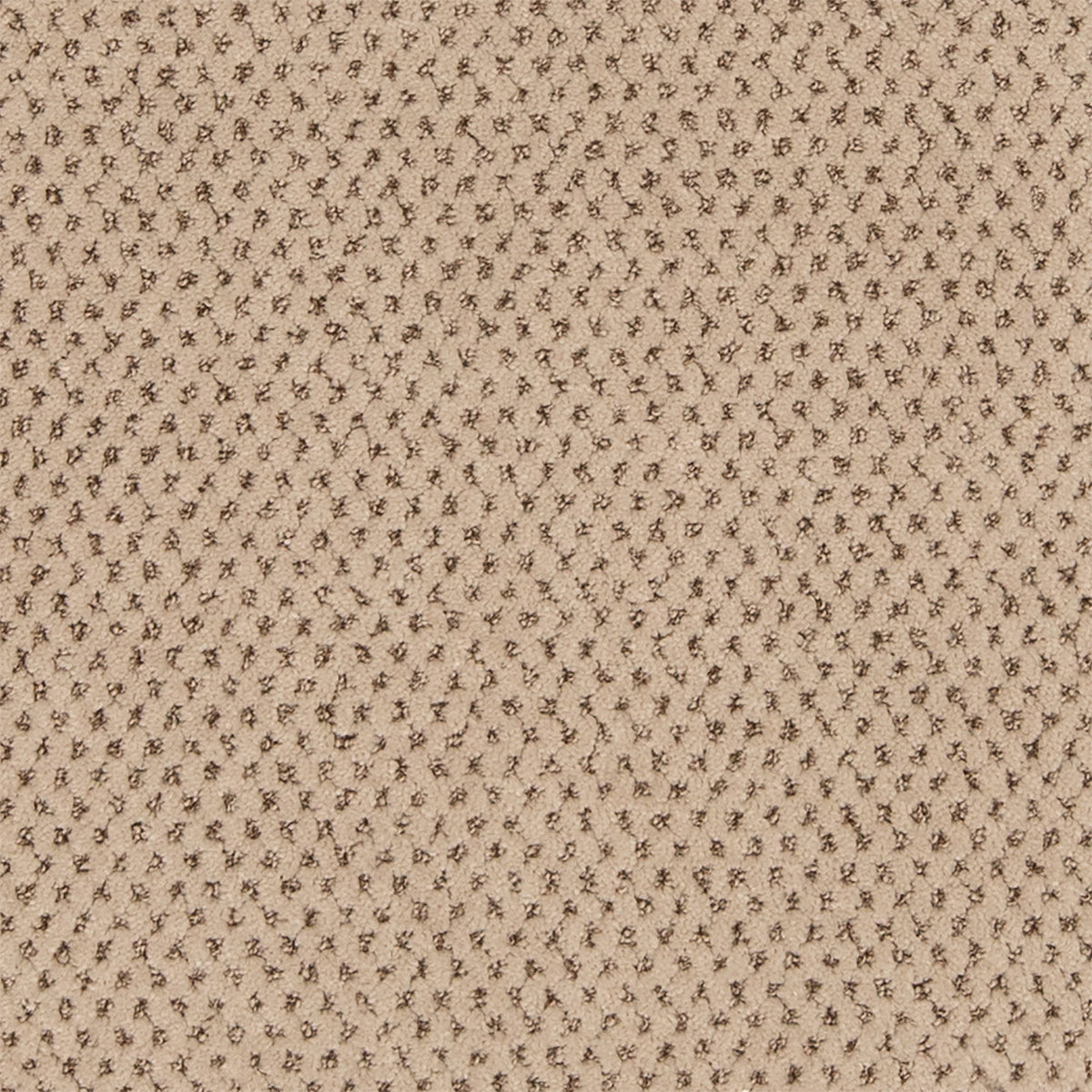 Timeless Effects SmartStrand Carpet - Chic