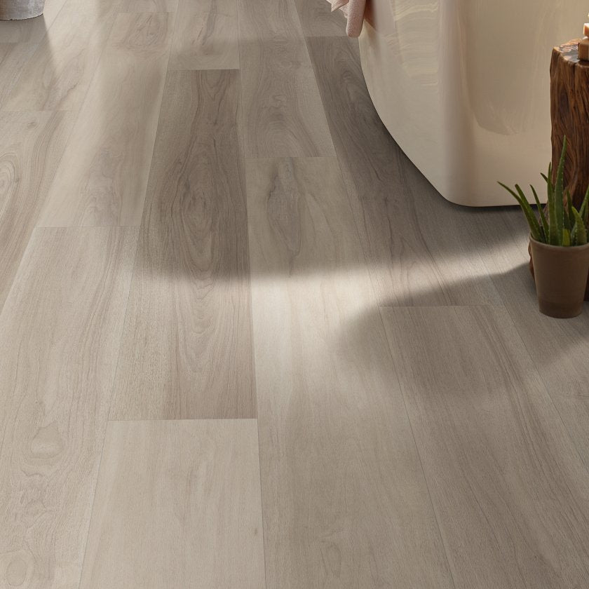 TITAN HD PLUS PLATINUM