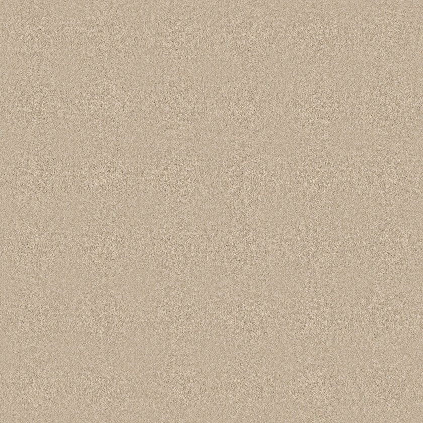 EVERYDAY COMFORT (S)