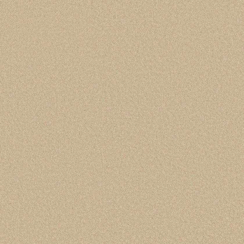 EVERYDAY COMFORT (S)