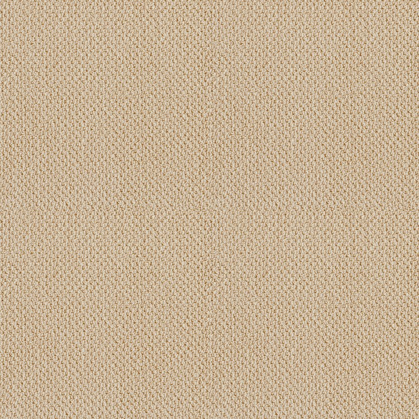 TRADITIONAL ELEGANCE