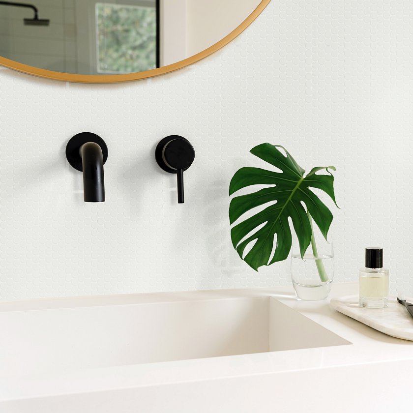 TECHNICOLOR DREAMS PNY MOS