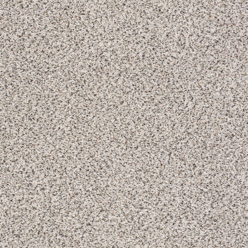 TAKE THE FLOOR ACCENT II