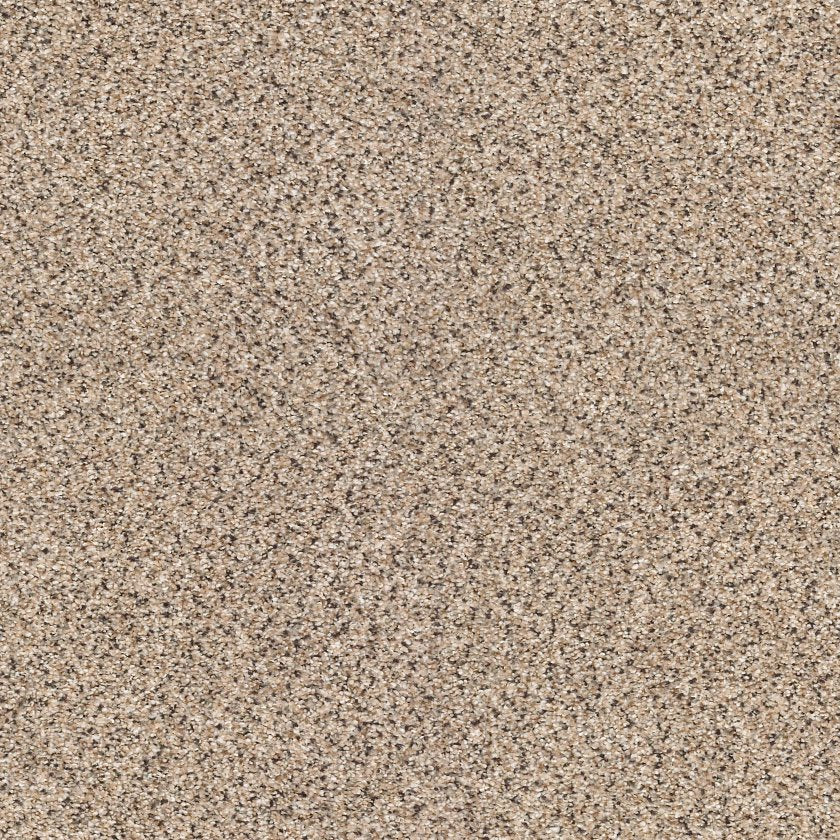 TAKE THE FLOOR ACCENT II