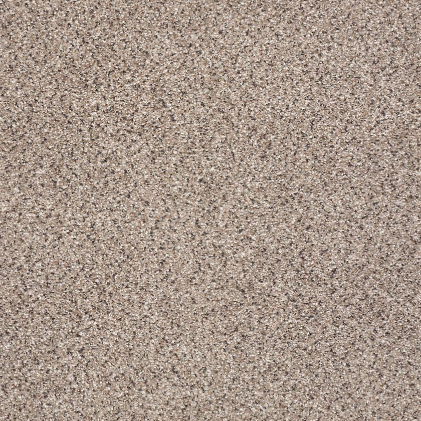 TAKE THE FLOOR ACCENT II