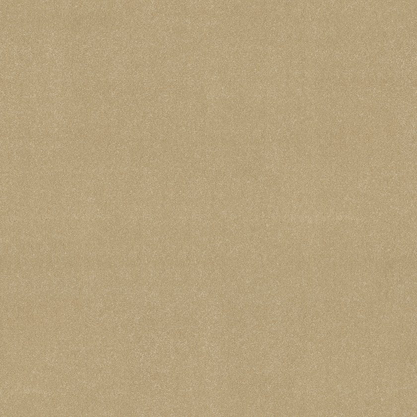 AWAKEN SPIRIT II 12'