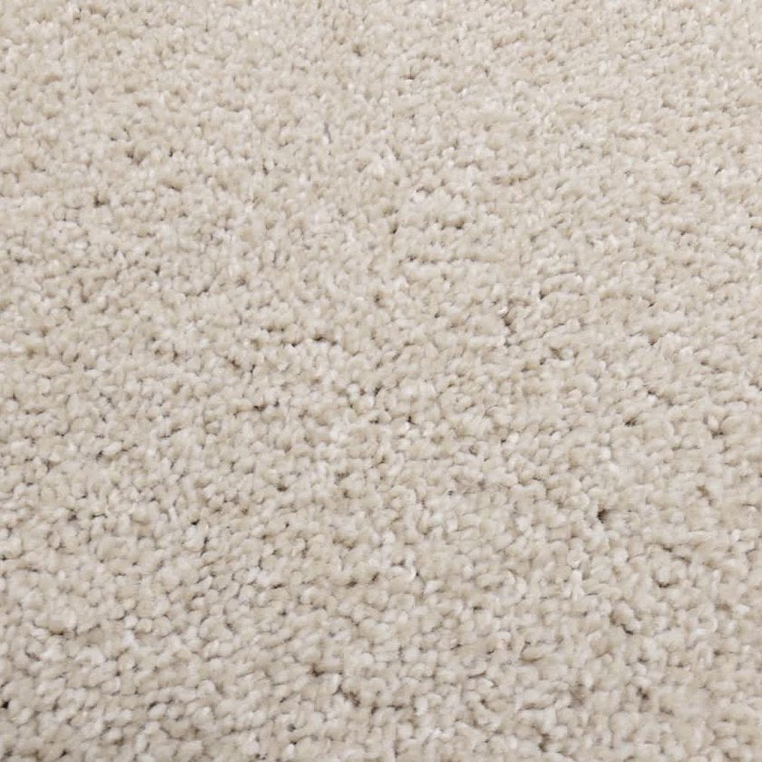 High Ranking - Solid