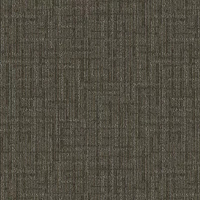 Lateral Surface BT314 - 24 in x 24 in Carpet Tile