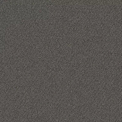 Trail Mix BC333 - 12 ft Broadloom