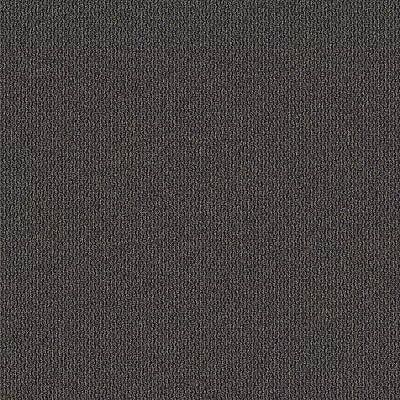 Trail Mix BC333 - 12 ft Broadloom