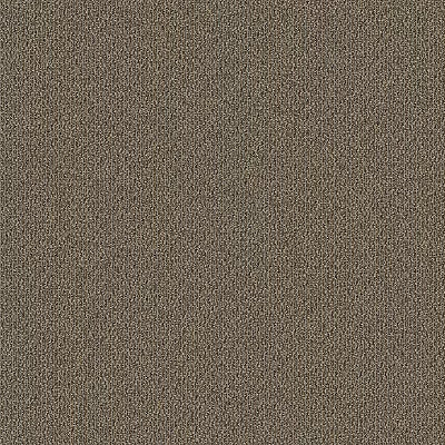 Trail Mix BC333 - 12 ft Broadloom