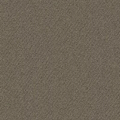 Trail Mix BC333 - 12 ft Broadloom