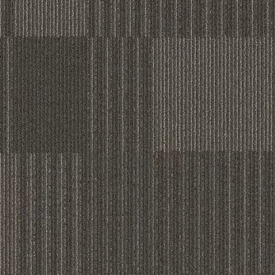 Reckless BT353 - 24 in x 24 in Carpet Tile