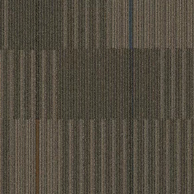 Venturesome BT356 - 24 in x 24 in Carpet Tile