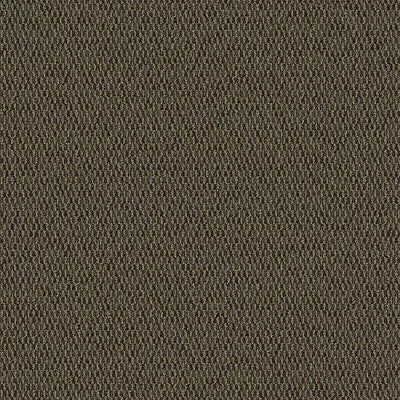 Artist II 12' BC380 - 12 ft Broadloom