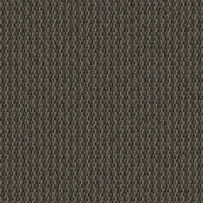 Artist II 24 x 24 BT380 - 24 in x 24 in Carpet Tile