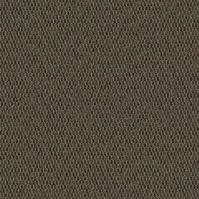 Artist II 24 x 24 BT380 - 24 in x 24 in Carpet Tile