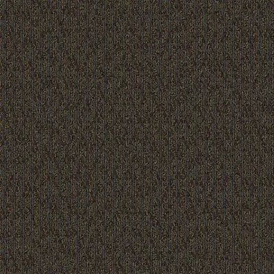 Artist II 24 x 24 BT380 - 24 in x 24 in Carpet Tile
