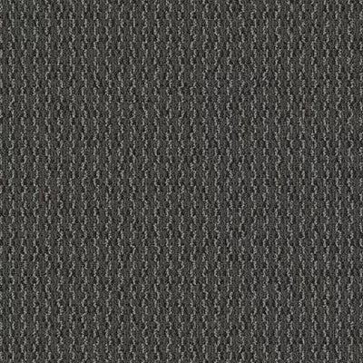 Artist II 24 x 24 BT380 - 24 in x 24 in Carpet Tile