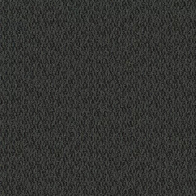 Artist II 24 x 24 BT380 - 24 in x 24 in Carpet Tile