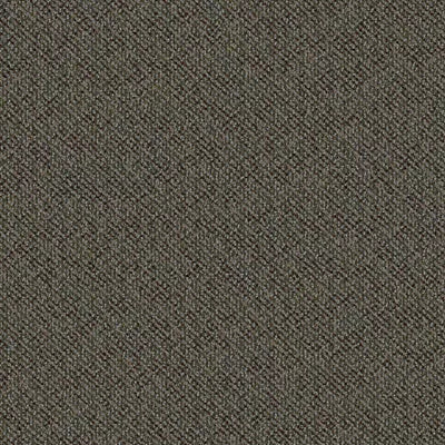 Doctor II 24 x 24 BT381 - 24 in x 24 in Carpet Tile