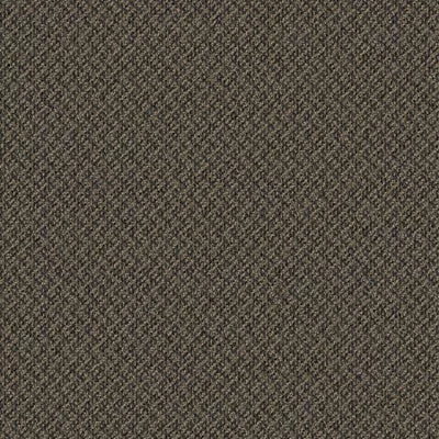 Doctor II 24 x 24 BT381 - 24 in x 24 in Carpet Tile