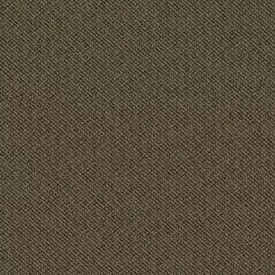 Doctor II 24 x 24 BT381 - 24 in x 24 in Carpet Tile