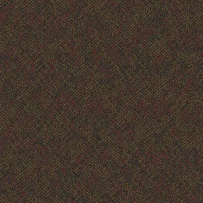 Doctor II 24 x 24 BT381 - 24 in x 24 in Carpet Tile