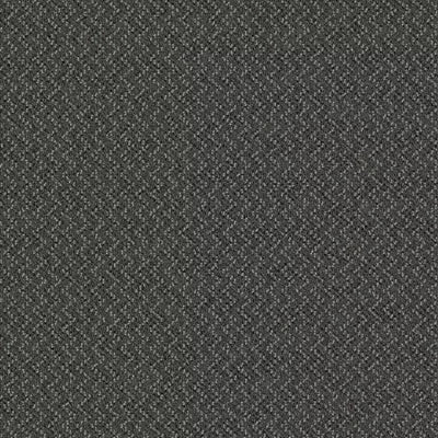 Doctor II 24 x 24 BT381 - 24 in x 24 in Carpet Tile