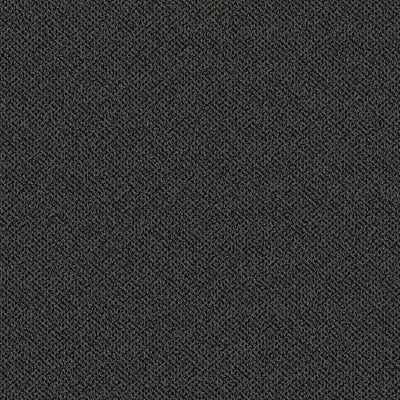 Doctor II 24 x 24 BT381 - 24 in x 24 in Carpet Tile